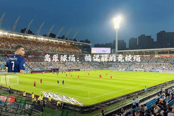 高原球场：被误解的竞技场